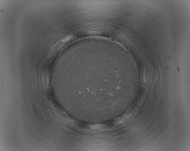 X0000068890268200605122041