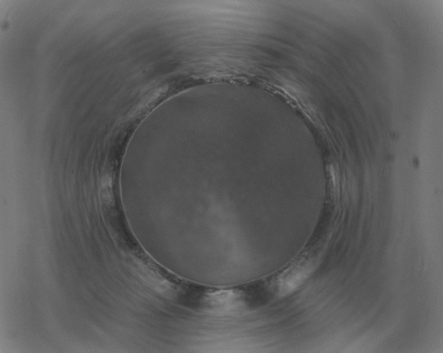 X0000068890269200605122041