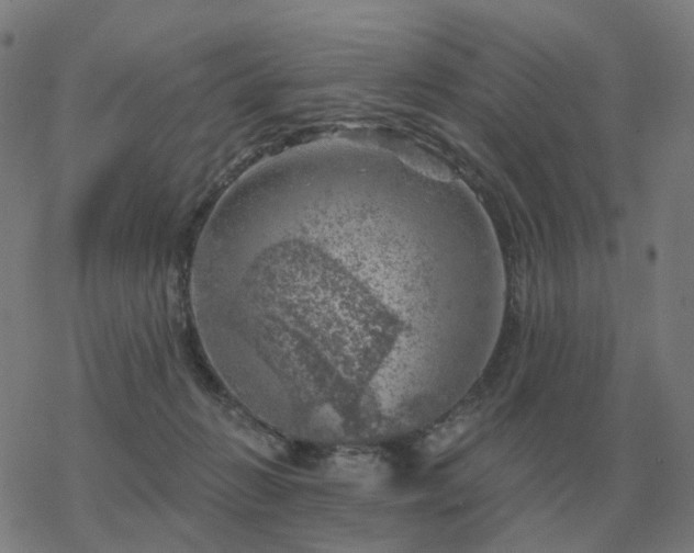 X0000068890270200605122041