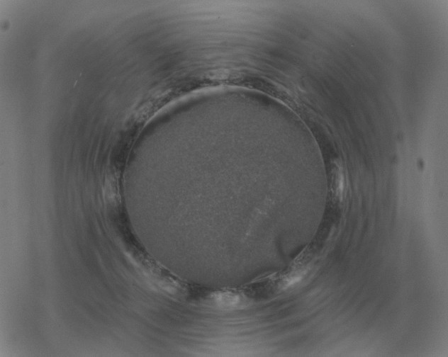 X0000068890272200605122041