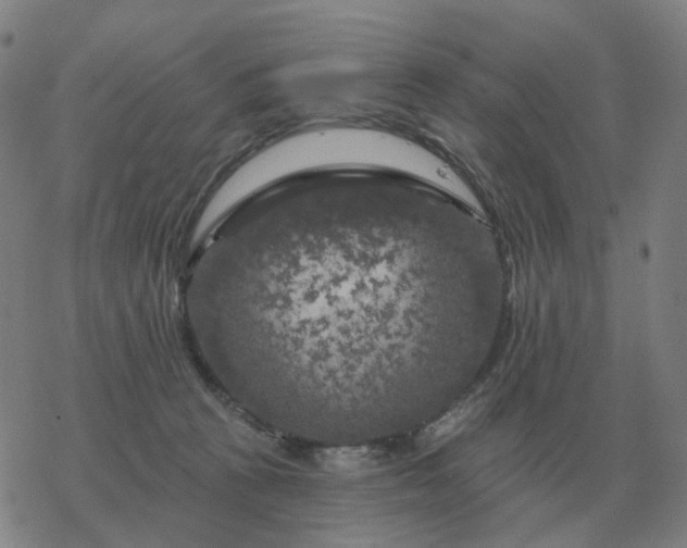 X0000068890273200605122041