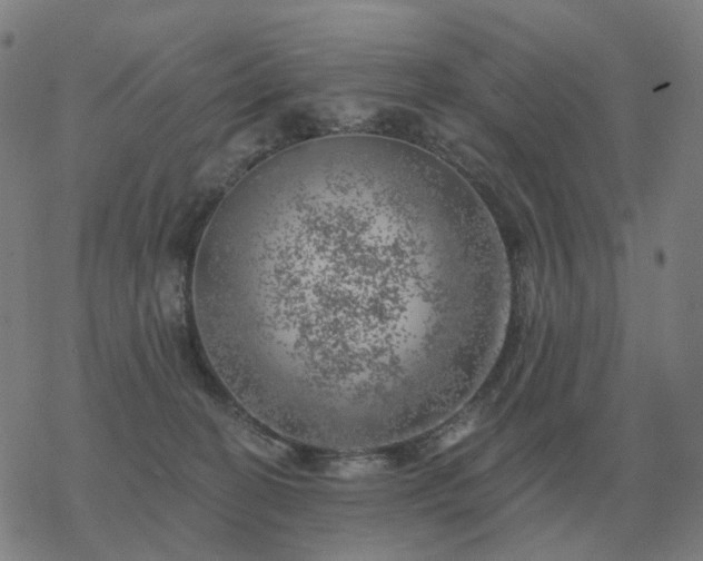 X0000068890274200605122041