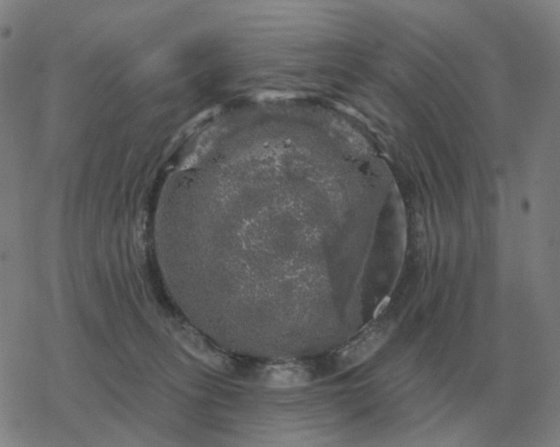 X0000068890275200605122042