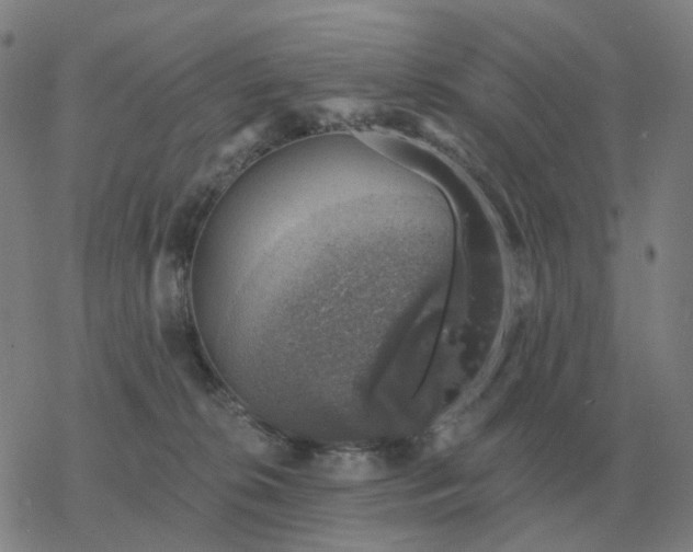 X0000068890276200605122042