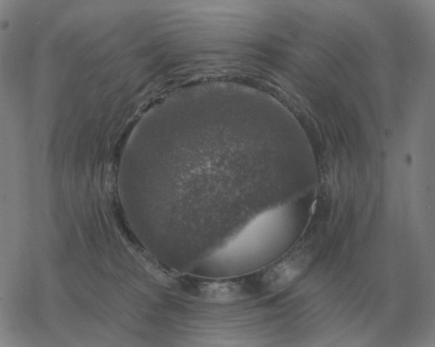 X0000068890277200605122042