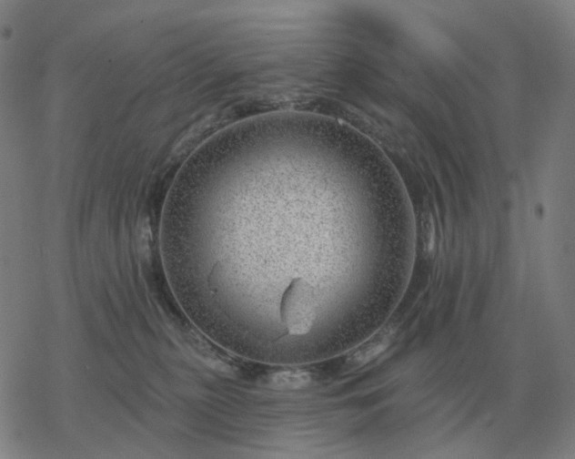 X0000068890279200605122042