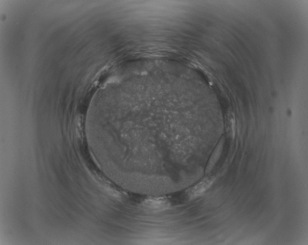 X0000068890280200605122042