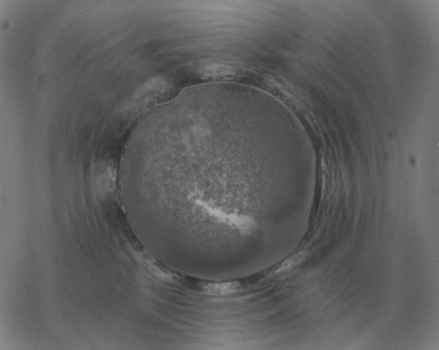 X0000068890281200605122042