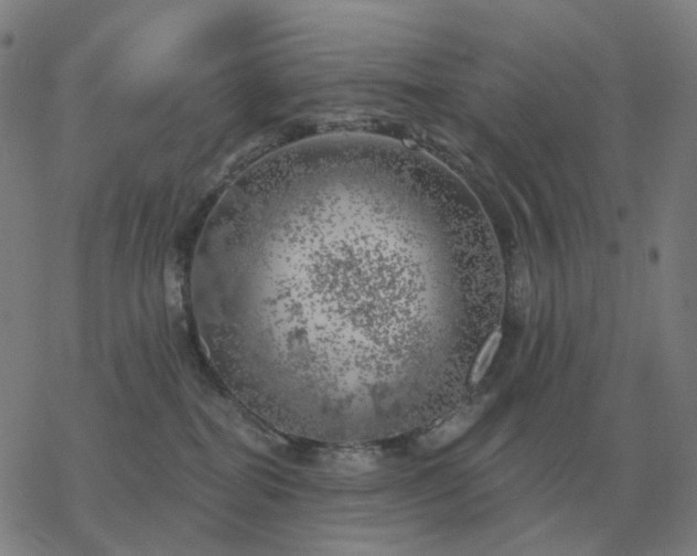 X0000068890282200605122042