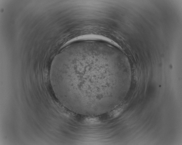 X0000068890283200605122042