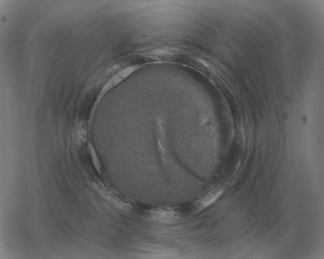 X0000068890284200605122042