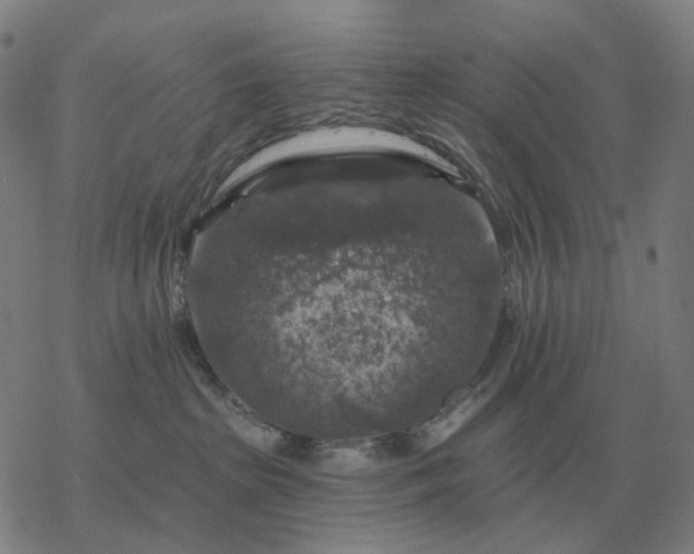 X0000068890285200605122042