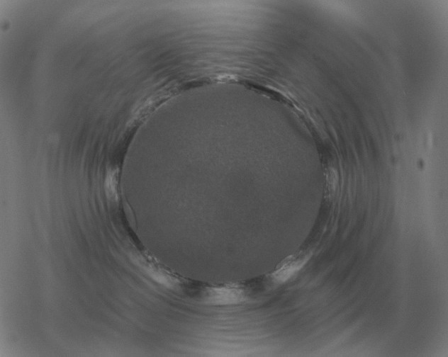 X0000068890286200605122042