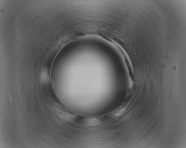 X0000068890287200605122042