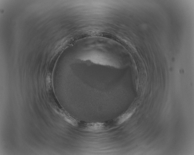 X0000068890288200605122042