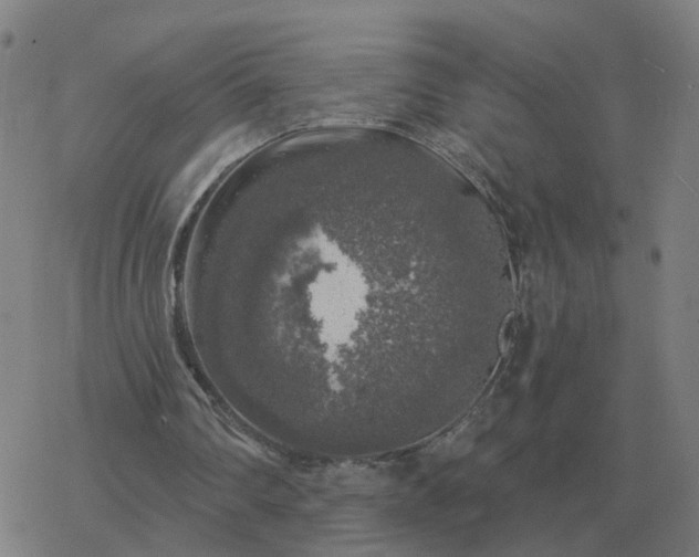 X0000068890290200605122041