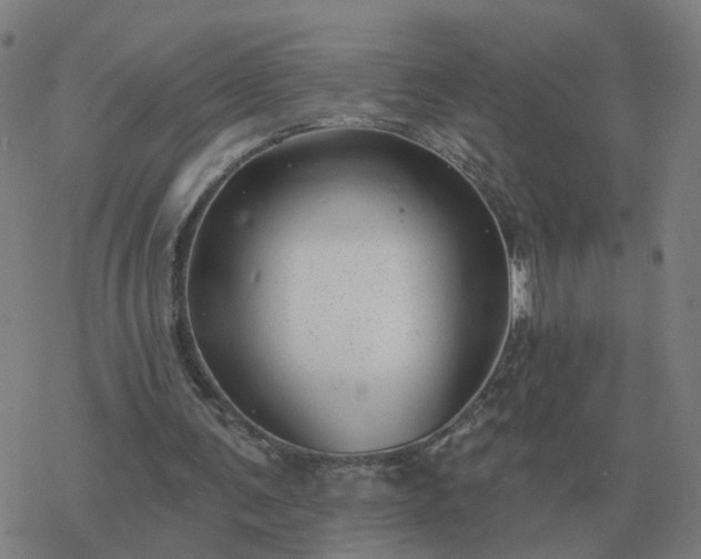 X0000068890291200605122041