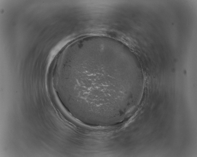 X0000068890294200605122041