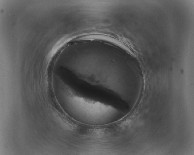 X0000068890295200605122041