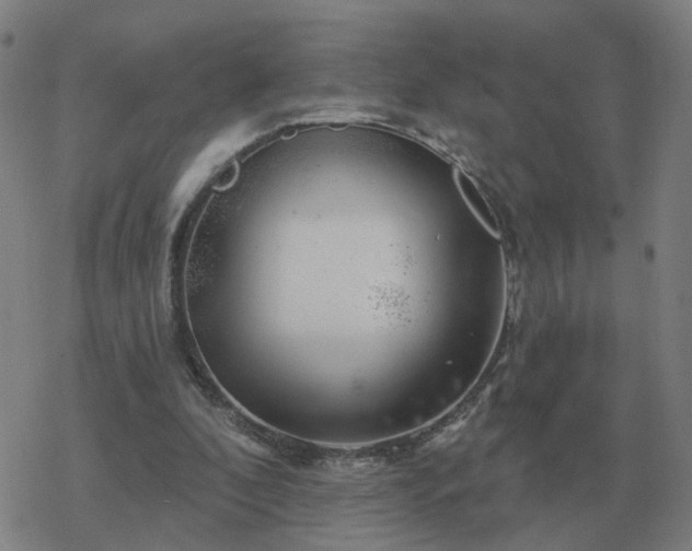 X0000068890296200605122041