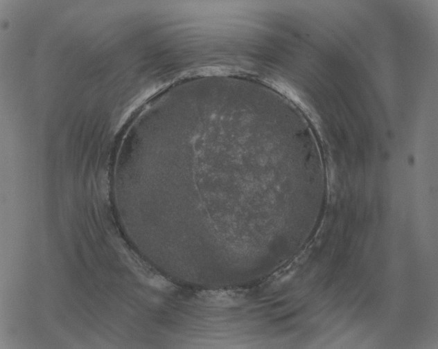 X0000068890297200605122041