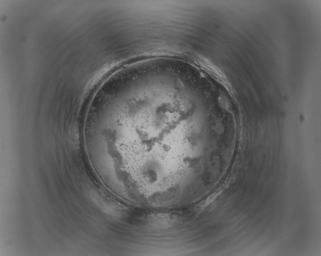 X0000068890298200605122041