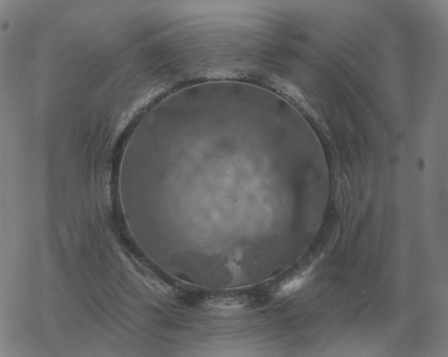 X0000068890299200605122041