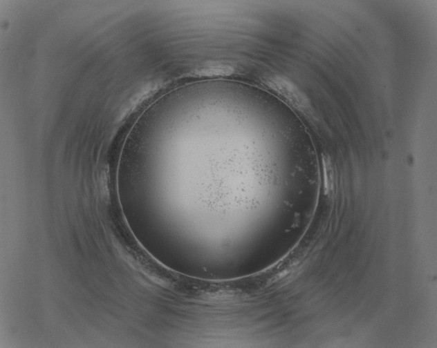 X0000068890300200605122041