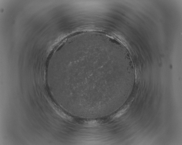 X0000068890301200605122041