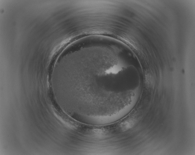 X0000068890302200605122041