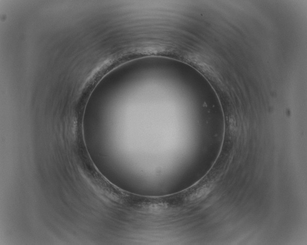 X0000068890304200605122041