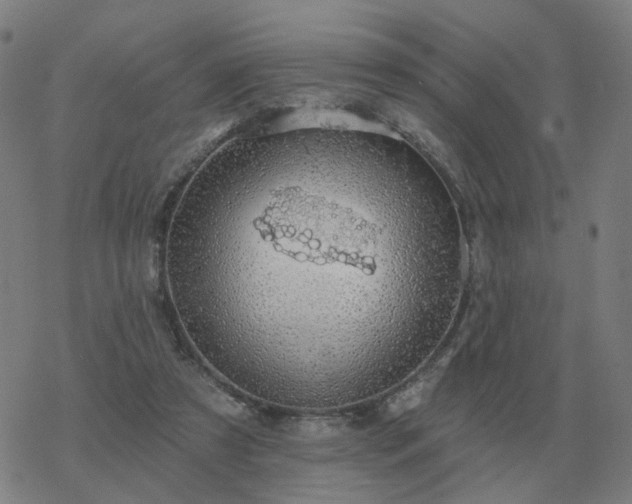 X0000068890305200605122041