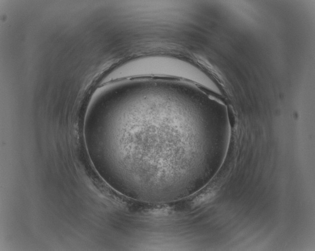 X0000068890306200605122041