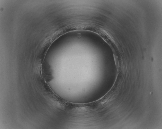 X0000068890307200605122041