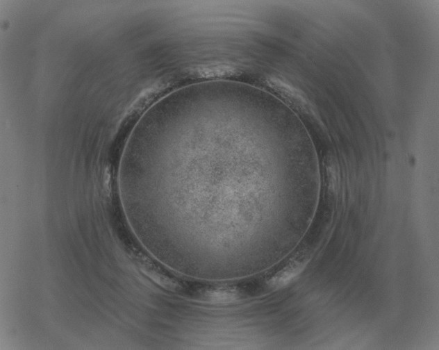 X0000068890308200605122041