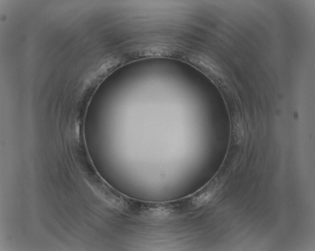 X0000068890310200605122041