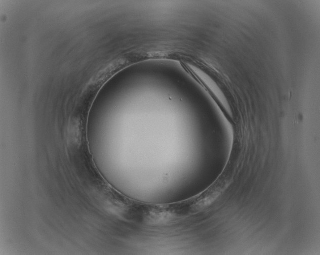 X0000068890311200605122041