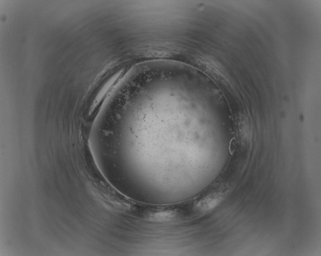 X0000068890312200605122041