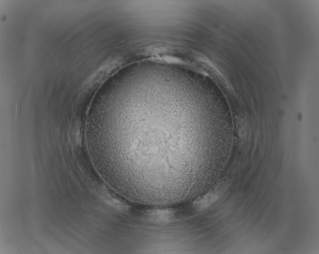 X0000068890313200605122040