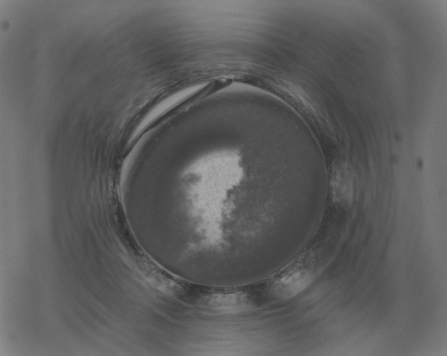 X0000068890314200605122040