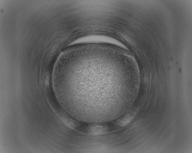 X0000068890315200605122040