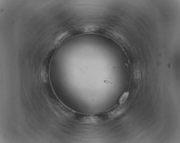 X0000068890316200605122040