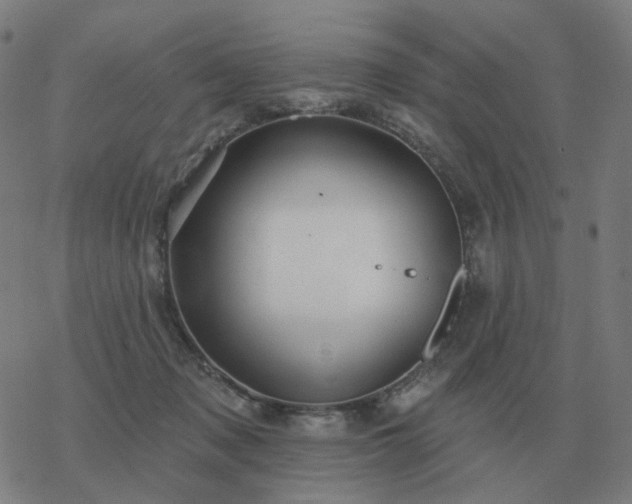 X0000068890317200605122040