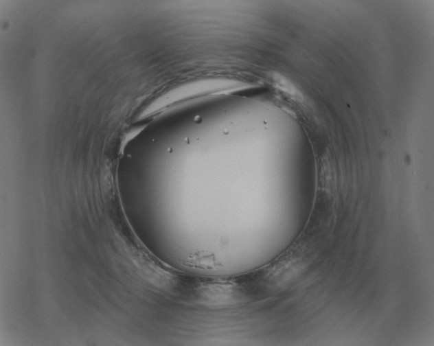 X0000068890318200605122040