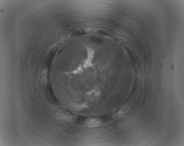 X0000068890319200605122040