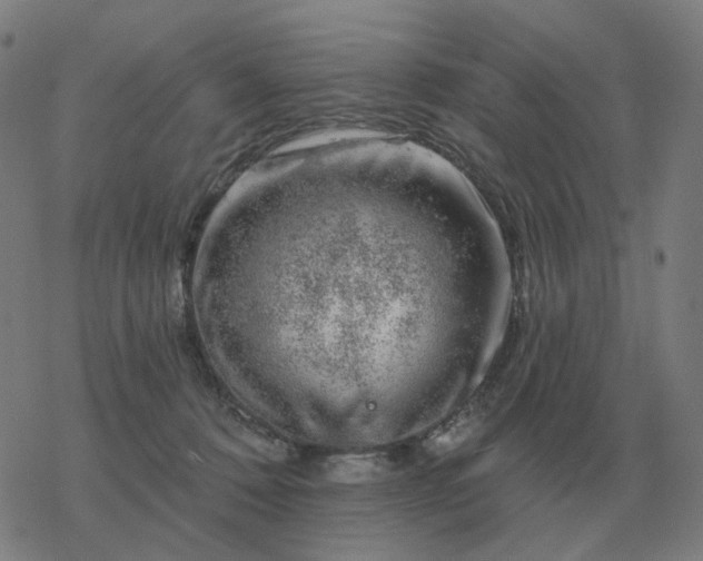 X0000068890320200605122040