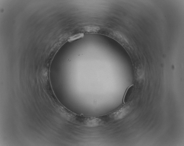 X0000068890321200605122040