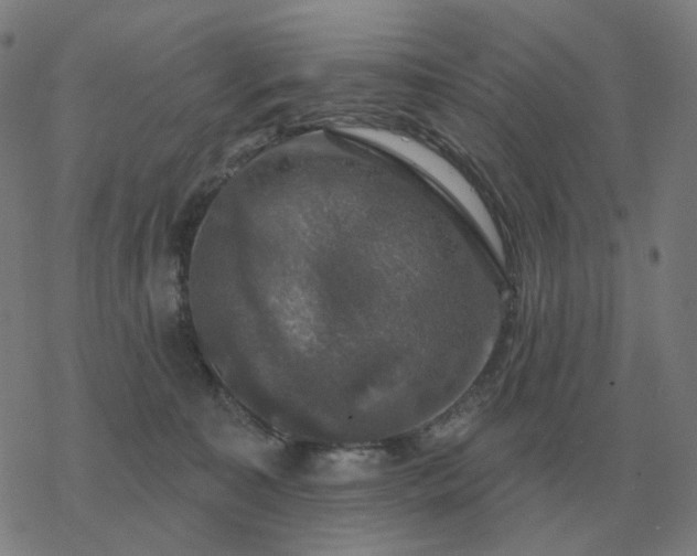 X0000068890323200605122040