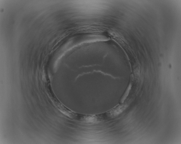 X0000068890325200605122040