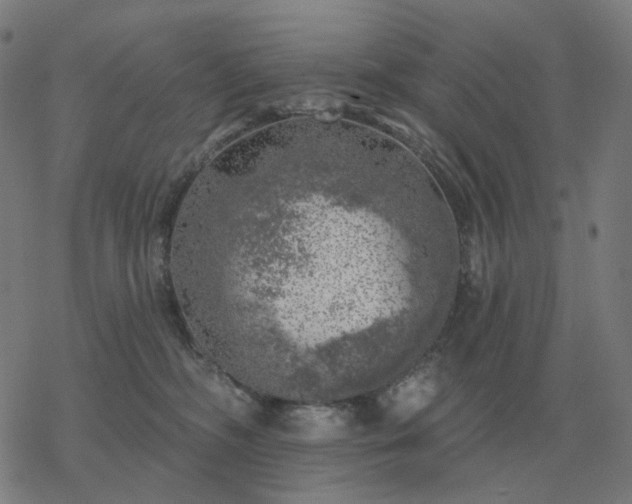 X0000068890326200605122040